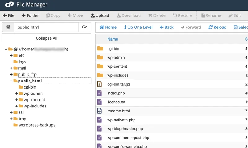 آموزش انتقال وردپرس