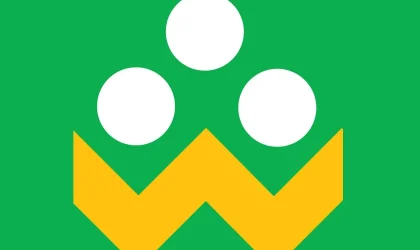 چگونه خطای سرور شاد را رفع کنیم