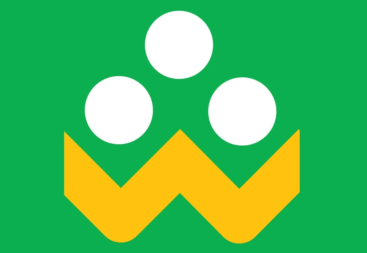 چگونه خطای سرور شاد را رفع کنیم